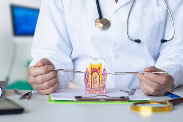 Best Emergency Root Canal Treatment in Oxford, PA